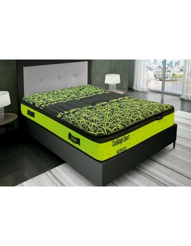 C.Naturfless SPORT V8 090*200