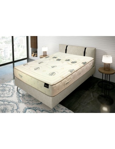 C.Naturfless BIO V6 160*200