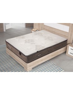 C.Naturfless FUTURE V8 105*200